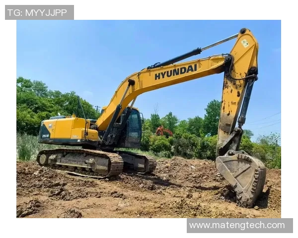 现代215Vs跑表技巧与实用经验分享，助你轻松掌握驾驶节奏与性能优化